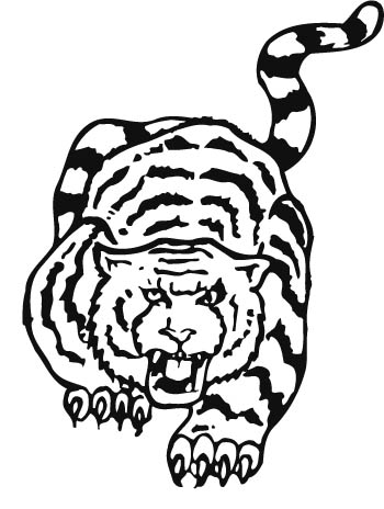 tiger11-zmax