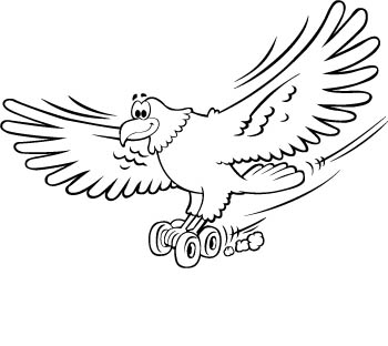 eagle25-zmax